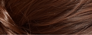 Close-up of brown hair strands