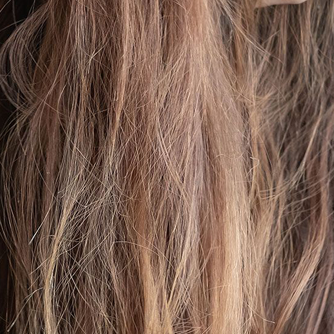 Close-up of brown and blonde hair strands for lifeless hair